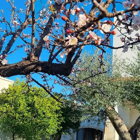 Guajira Bed & Breakfast Bari