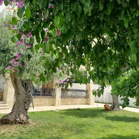 Guajira Bed & Breakfast 4*