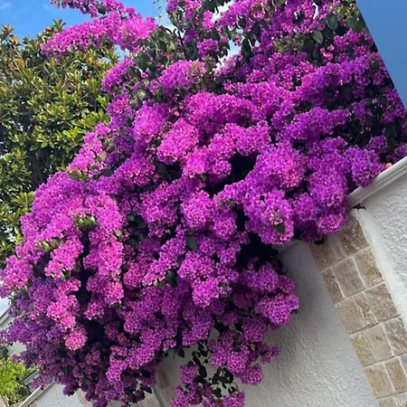 Bed & Breakfast Guajira Bari