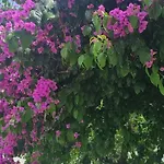 Guajira 4* בארי