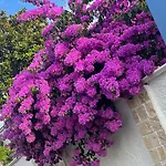 לינה וארוחת בוקר Guajira בארי
