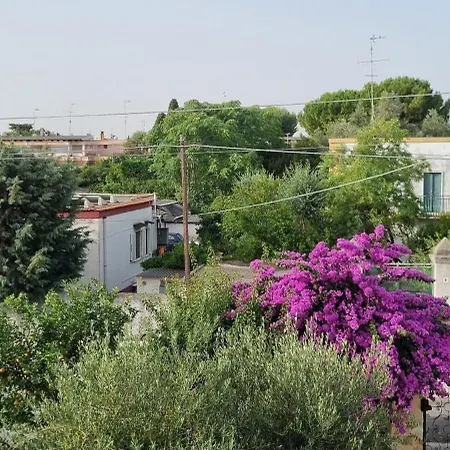 Oda ve Kahvaltı Guajira 4*