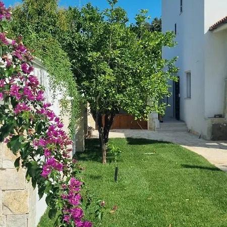 Guajira 4* Bari