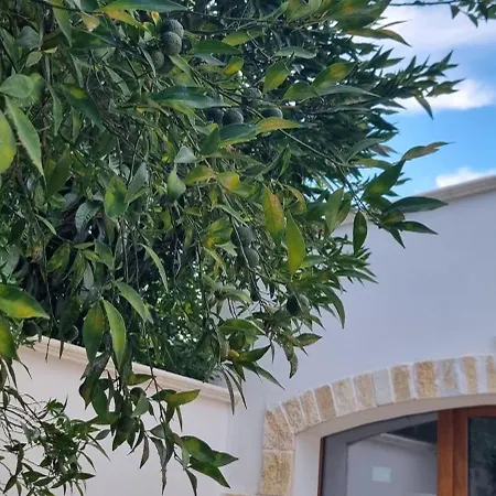 Guajira Bed and breakfast