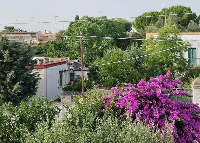 Bed and breakfast Guajira 4*