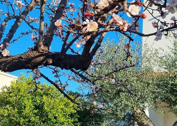 Guajira Bed and breakfast Bari