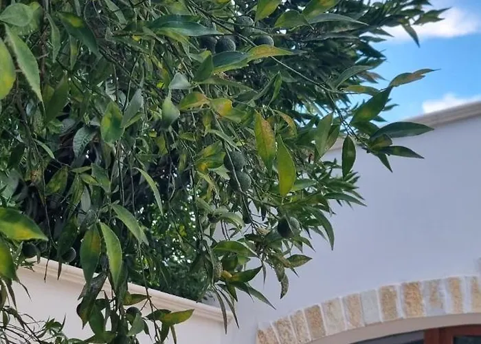 Guajira Bed and breakfast