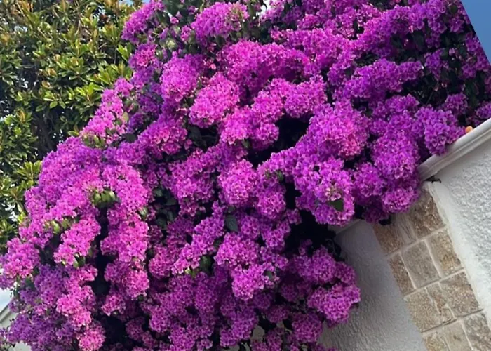 Bed and breakfast Guajira Bari